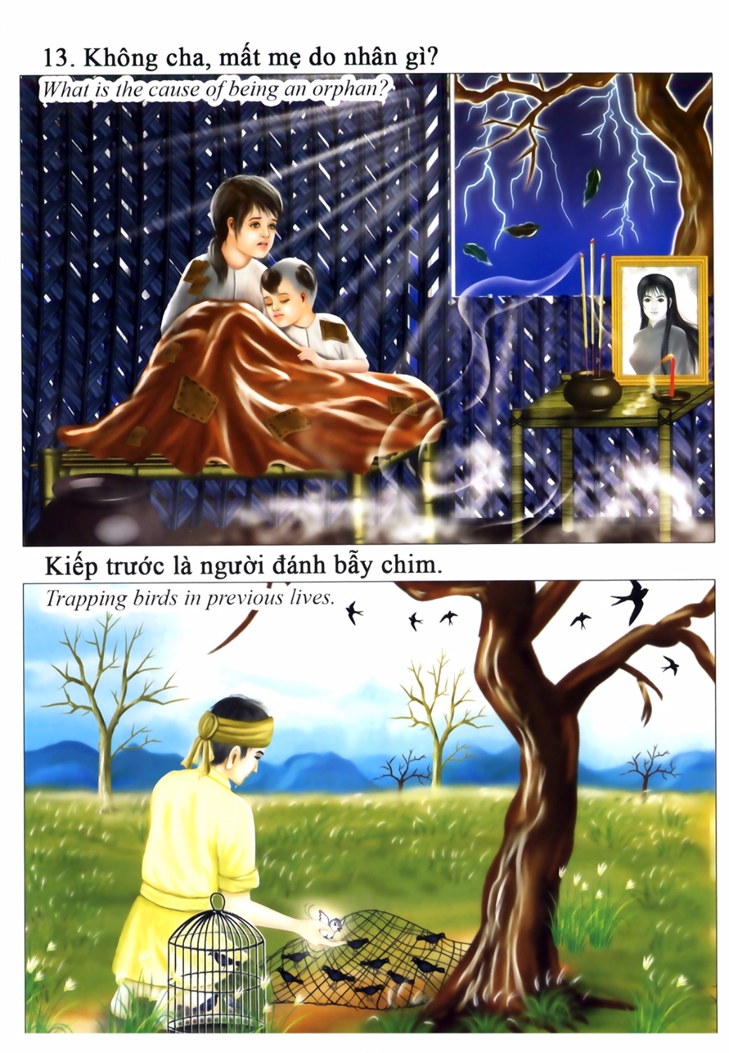 Không cha mất mẹ do nhân gì?  Kiếp trước là người đánh bẫy chim.