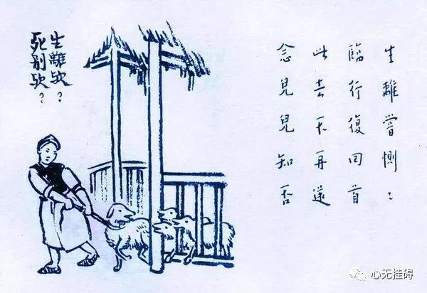 1135-hanh-nghe-mo-heo-bi-qua-bao-ung-thu-benh-nan-y