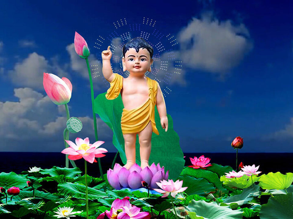 luat-nhan-qua-mang-tinh-khai-quat-403
