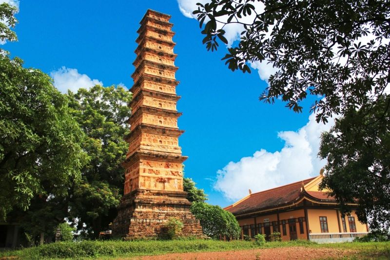 1122-dong-tu-bao-hai-cam-duoc-kho-bau-tran-day-nho-tu-sua-thap-phat