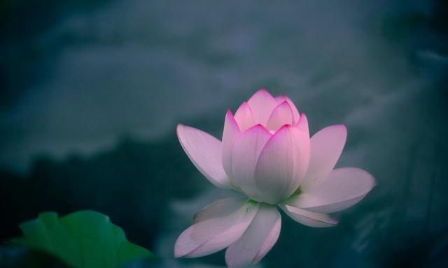 Tình Yêu Cũng Có Nhân Quả Luân Hồi