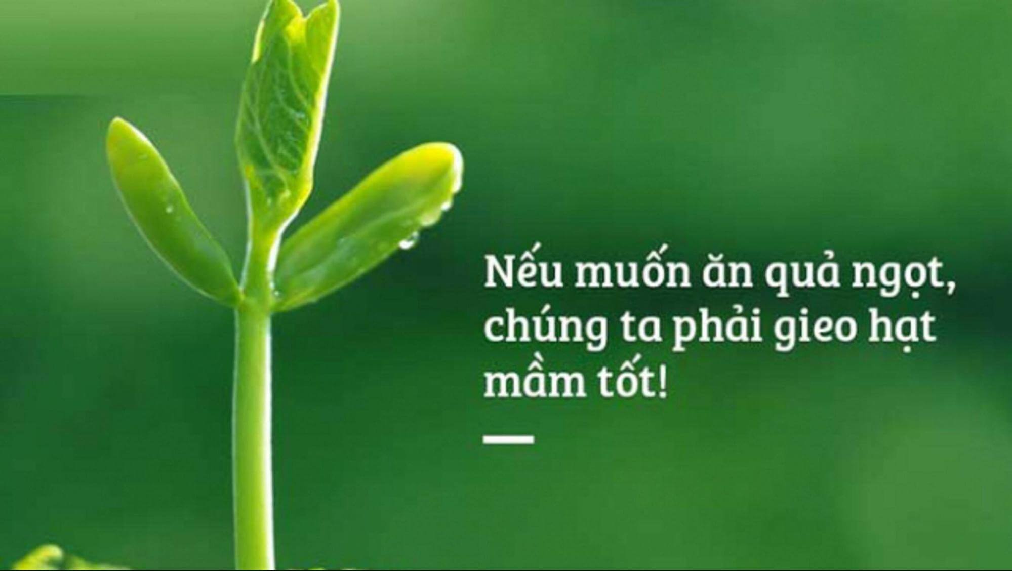 xay-dung-mo-hinh-du-doan-va-phan-loai-dua-tren-luat-nhan-qua-407